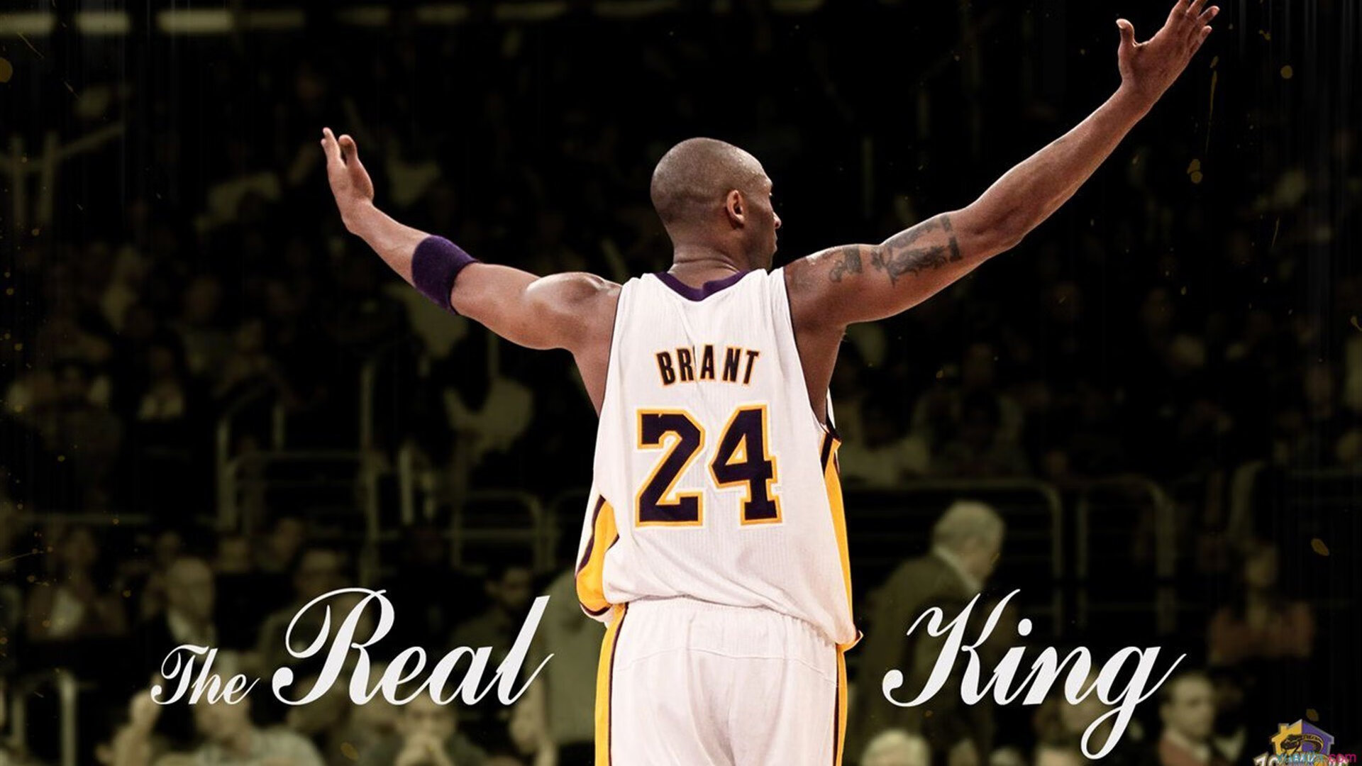 开云官网入口-公牛主帅参加人工智能与体育高峰论坛，公牛队创始人